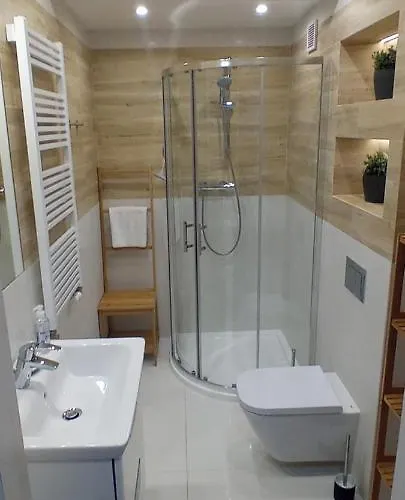 Gorskie Klimaty Sarnia 公寓 卡尔帕奇